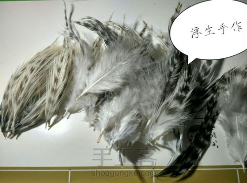 鸡毛毽子的做法 第1步