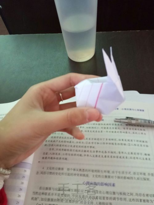 小兔纸 第12步
