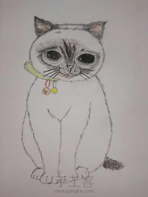 么么哒小喵喵(・ิϖ・ิ)っ 第1步