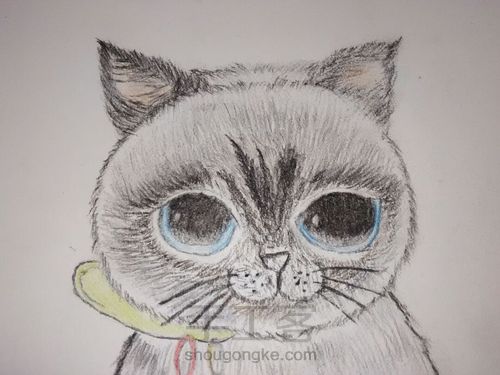 么么哒小喵喵(・ิϖ・ิ)っ 第3步