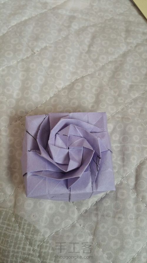 玫瑰🌹玫瑰 转 第28步