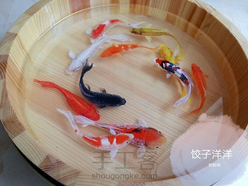 转发这盆锦鲤，因为它是画的 第1步