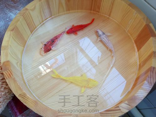 转发这盆锦鲤，因为它是画的 第10步