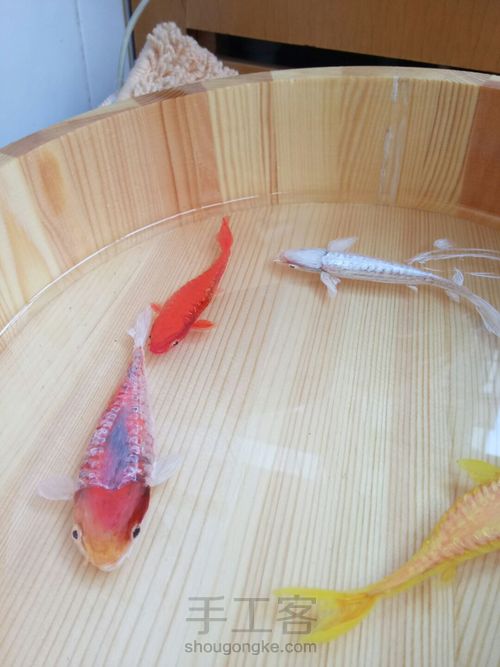 转发这盆锦鲤，因为它是画的 第15步