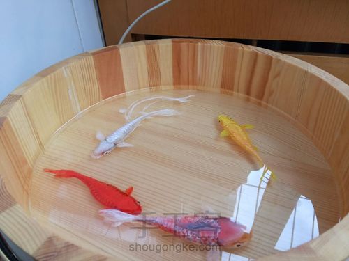 转发这盆锦鲤，因为它是画的 第16步