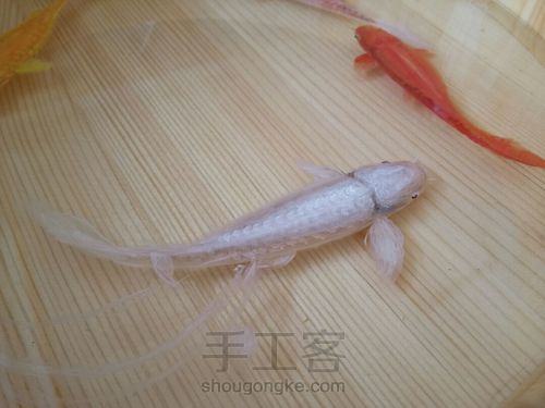 转发这盆锦鲤，因为它是画的 第17步