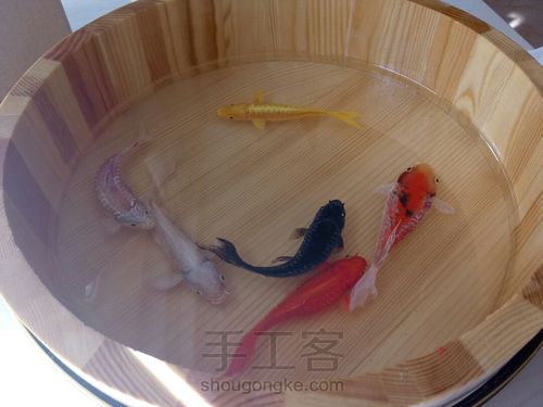 转发这盆锦鲤，因为它是画的 第20步