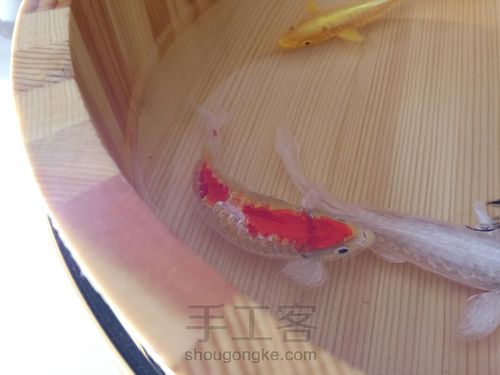 转发这盆锦鲤，因为它是画的 第22步