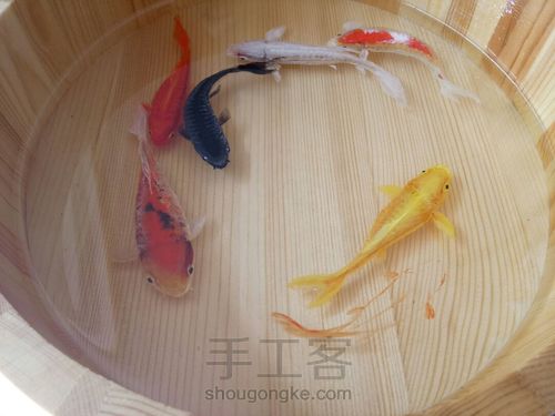 转发这盆锦鲤，因为它是画的 第26步