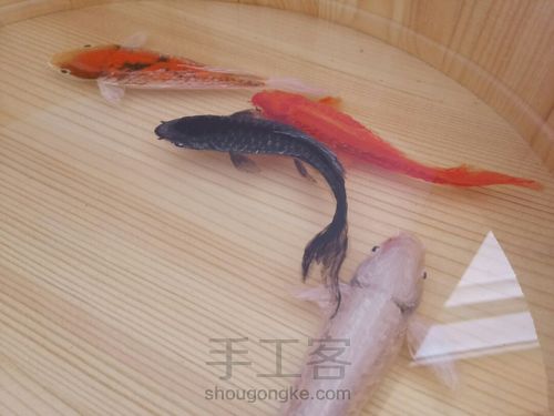 转发这盆锦鲤，因为它是画的 第27步