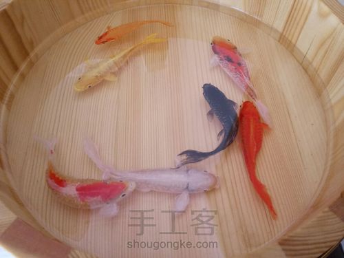 转发这盆锦鲤，因为它是画的 第29步