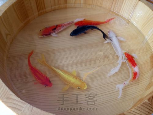 转发这盆锦鲤，因为它是画的 第31步