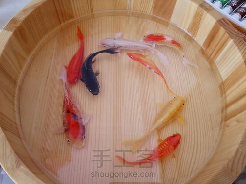 转发这盆锦鲤，因为它是画的 第32步