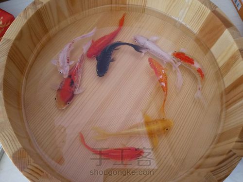 转发这盆锦鲤，因为它是画的 第34步