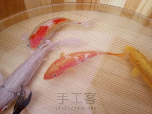 转发这盆锦鲤，因为它是画的 第35步