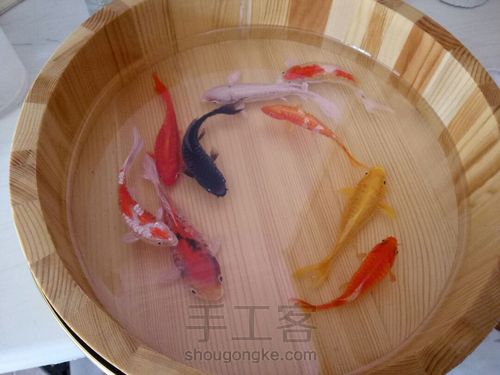 转发这盆锦鲤，因为它是画的 第36步