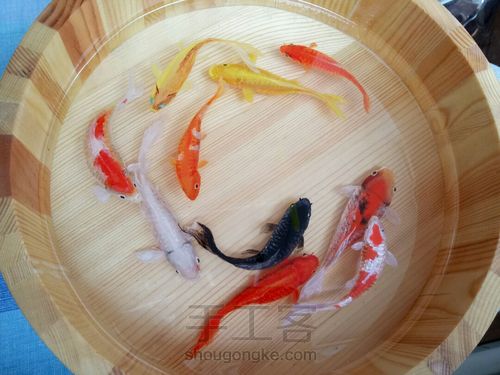 转发这盆锦鲤，因为它是画的 第38步