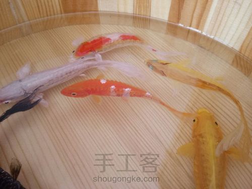 转发这盆锦鲤，因为它是画的 第40步