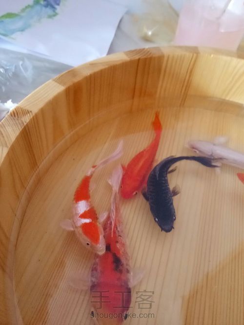 转发这盆锦鲤，因为它是画的 第43步