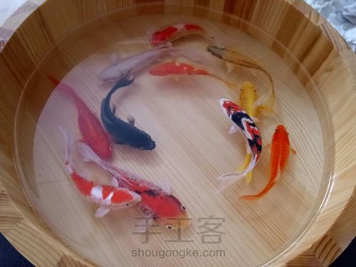 转发这盆锦鲤，因为它是画的 第44步