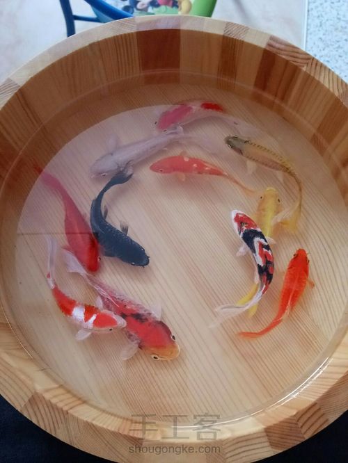 转发这盆锦鲤，因为它是画的 第45步