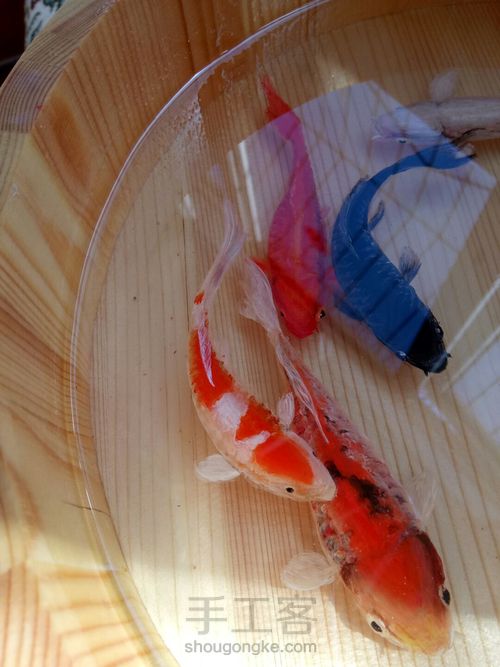 转发这盆锦鲤，因为它是画的 第47步