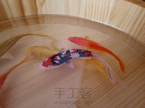 转发这盆锦鲤，因为它是画的 第48步