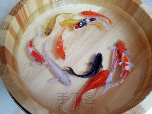 转发这盆锦鲤，因为它是画的 第52步