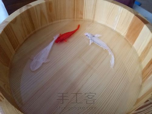 转发这盆锦鲤，因为它是画的 第7步