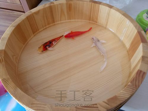 转发这盆锦鲤，因为它是画的 第8步