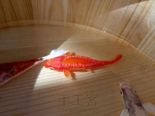 转发这盆锦鲤，因为它是画的 第9步