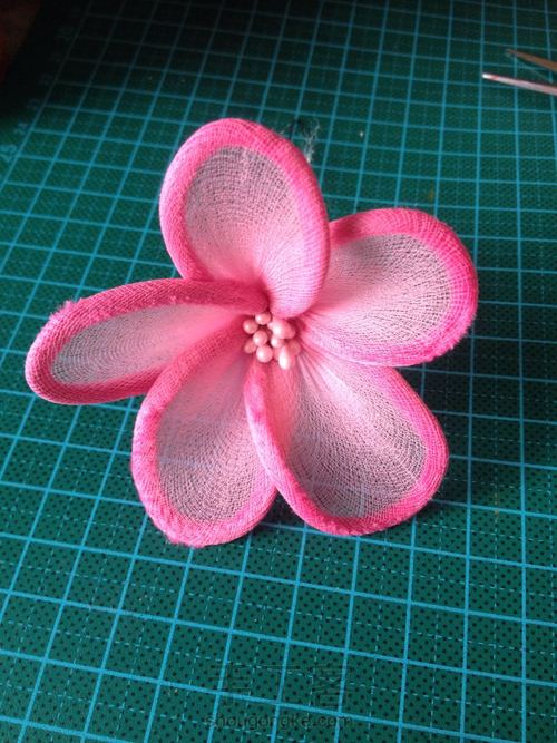 毛梗花 第5步