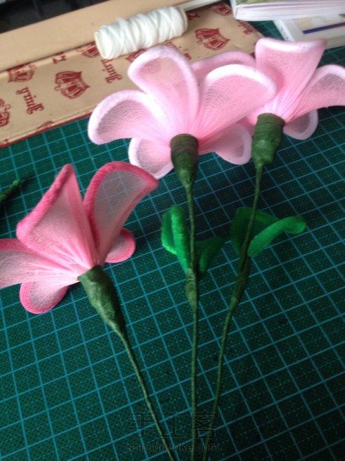 毛梗花 第8步