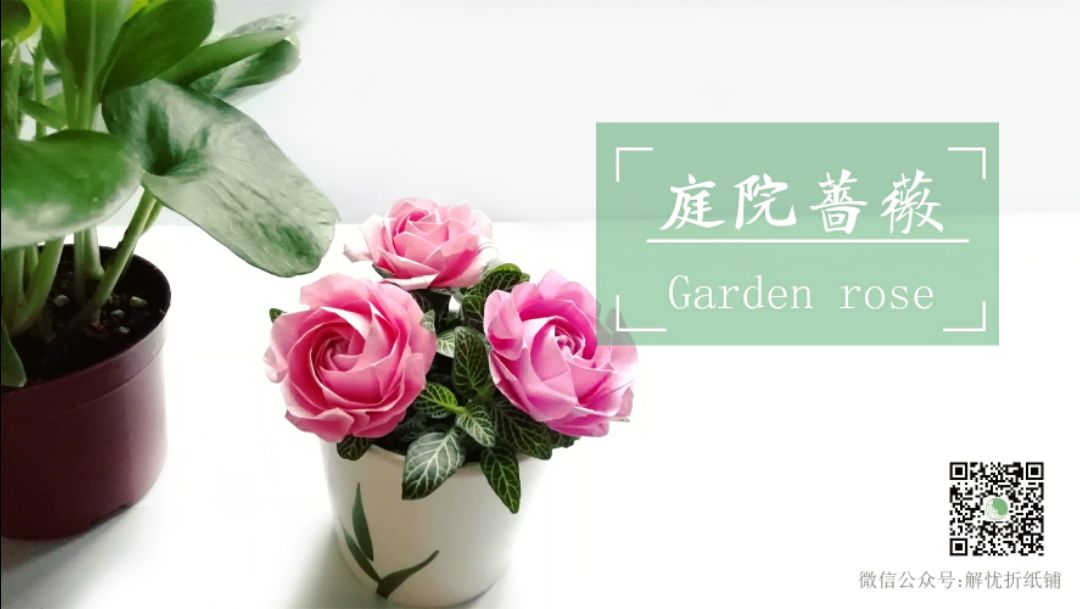 教程由本人实拍制作,未经允许不得转载 教程由本人实拍制作,未经允许不得转载