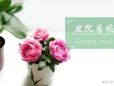 教程由本人实拍制作,未经允许不得转载 教程由本人实拍制作,未经允许不得转载
