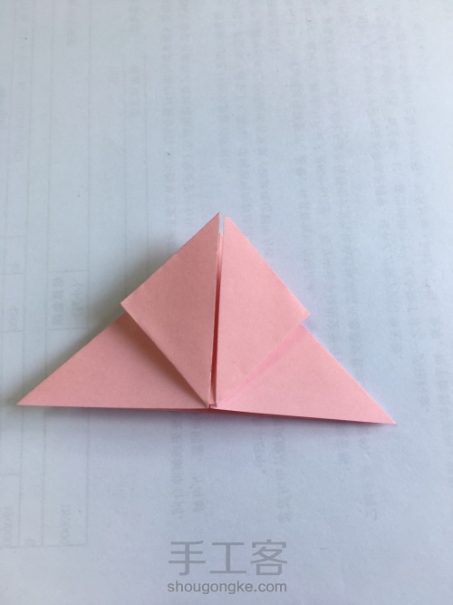 折纸——蝴蝶 第9步
