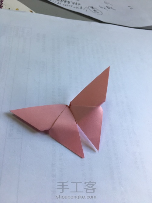 折纸——蝴蝶 第21步