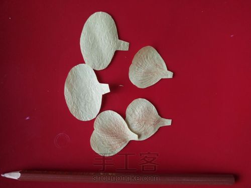 三色堇,分享喜欢 第3步