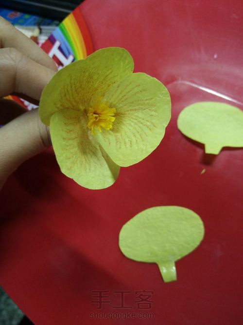 三色堇,分享喜欢 第9步