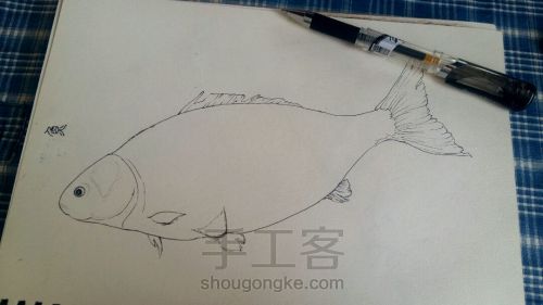 彩铅手绘：教你画一条鲜活的鱼 第1步