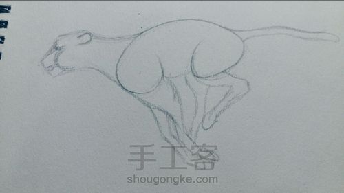 简笔画：奔跑的小猎豹 第6步