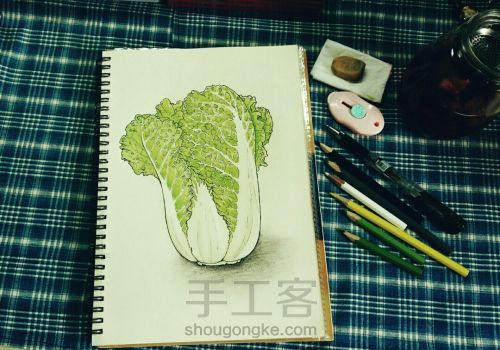 彩铅手绘：一颗热爱生活的大白菜 第9步
