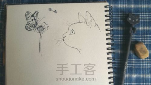 彩铅手绘小花.猫 第1步
