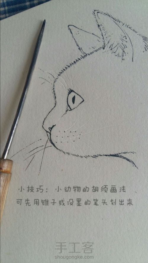 彩铅手绘小花.猫 第2步