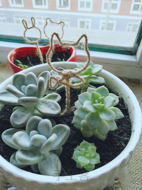 缠绕～花盆里的小装饰 第21步