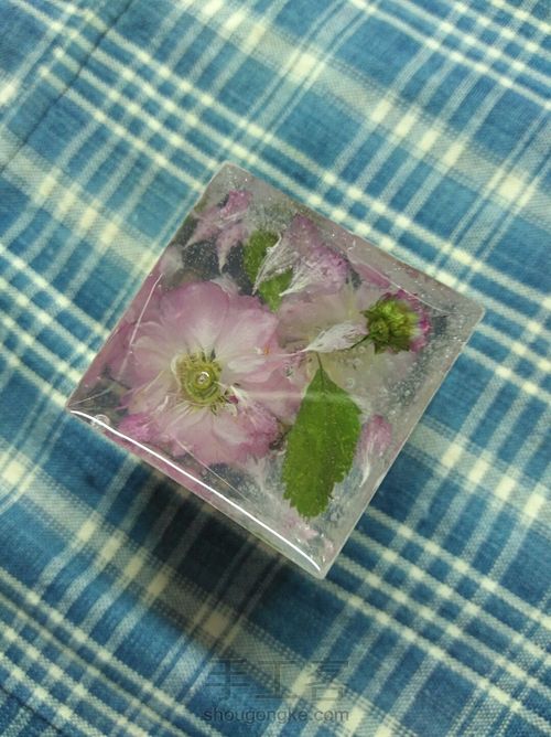 留住花开，凝固时间（花朵标本） 第12步