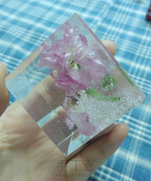 留住花开，凝固时间（花朵标本） 第14步