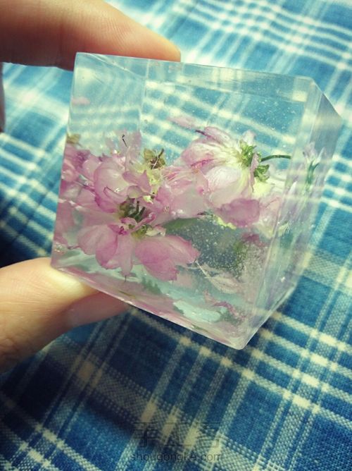 留住花开，凝固时间（花朵标本） 第15步
