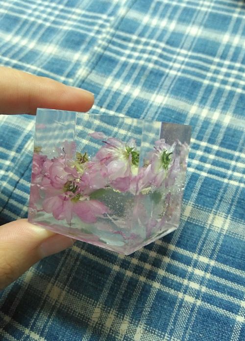 留住花开，凝固时间（花朵标本） 第18步