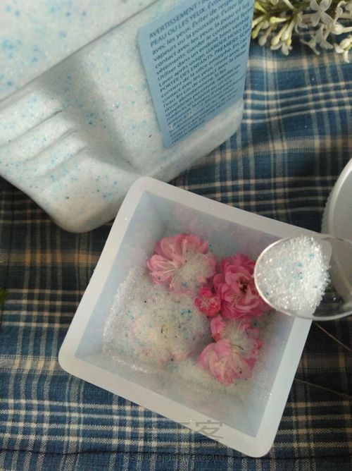 留住花开，凝固时间（花朵标本） 第2步